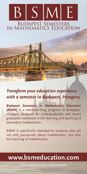 Budapest Semesters in Mathematics Education